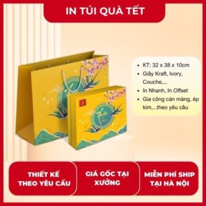 In túi giấy đựng quà Tết cao cấp theo yêu cầu tại Hà Nội