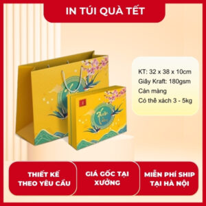 In túi giấy đựng quà Tết cao cấp theo yêu cầu tại Hà Nội