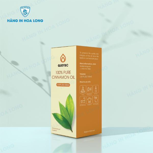 thiet-ke-hop-giay-dep-queybc.jpg