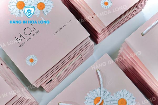mau-tui-giay-dung-my-pham-ihl.jpg