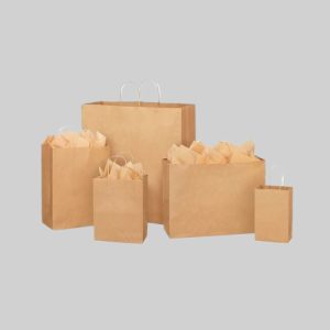 In túi giấy đựng chăn gối chất liệu giấy Kraft - hãng in Hoa Long
