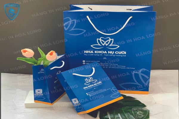 mẫu in túi giấy cho nha khoa tại in Hoa Long