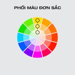 phối màu trong thiết kế logo và website