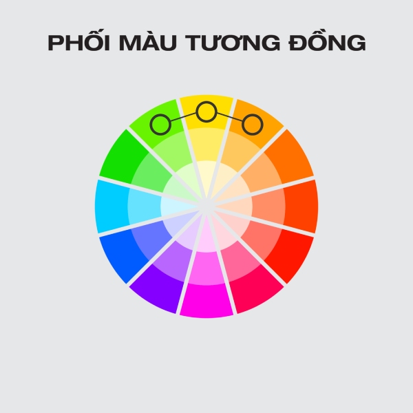 Nguyên tắc phối màu tương đồng trong thiết kế