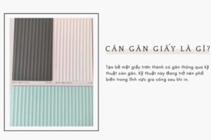 Cán gân giấy là gì