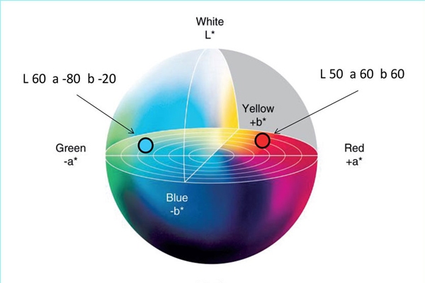 Cấu tạo hệ màu Lad Color