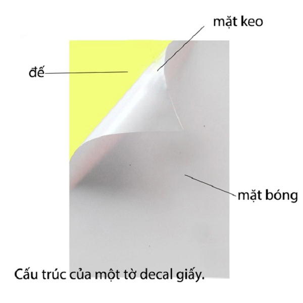 Giấy decal là gì