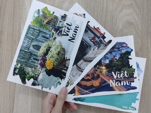 In Hoa Long nhận in postcard chất lượng cao