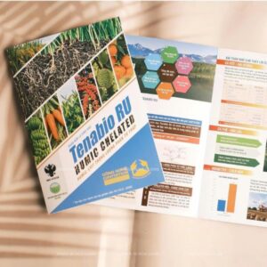 In brochure trái cây giá rẻ thiết kế ấn tượng tại Hà Nội