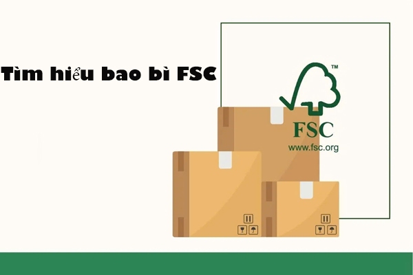 Tìm hiểu bao bì FSC