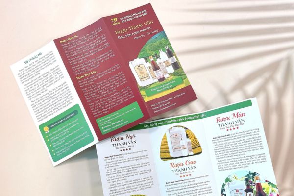 Tổng hợp các mẫu brochure giới thiệu sản phẩm đẹp