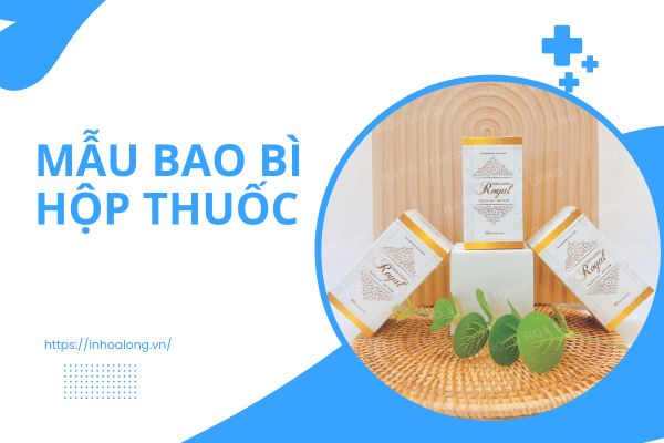 Mẫu bao bì vỏ hộp thuốc đẹp tại Hoa Long