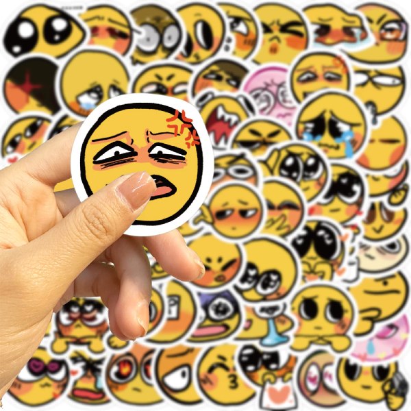 In Hoa Long nhận làm sticker mặt cười là gì?