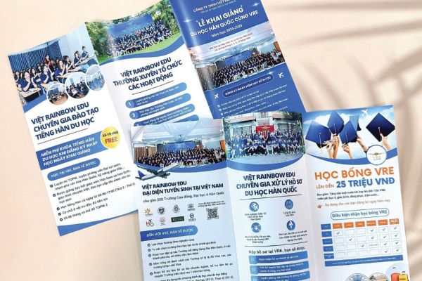 Tổng hợp các mẫu brochure giới thiệu sản phẩm đẹp