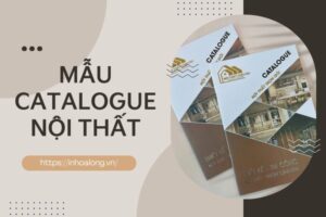 Tham khảo các mẫu in catalogue giá rẻ, chất lượng cao tại Hoa Long