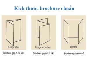 Các kích thước brochure chuẩn nhất