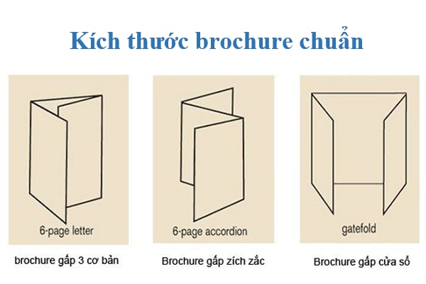 Các kích thước brochure chuẩn nhất