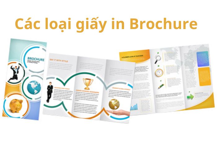 Tham khảo các loại giấy in brochure hiện nay