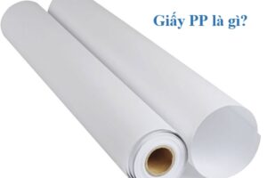 Giấy PP là gì?