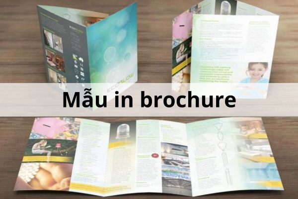 Mẫu in brochure đẹp, thiết kế theo yêu cầu tại In Hoa Long