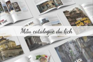 Tham khảo các mẫu catalogue giá rẻ, chất lượng tại In Hoa Long