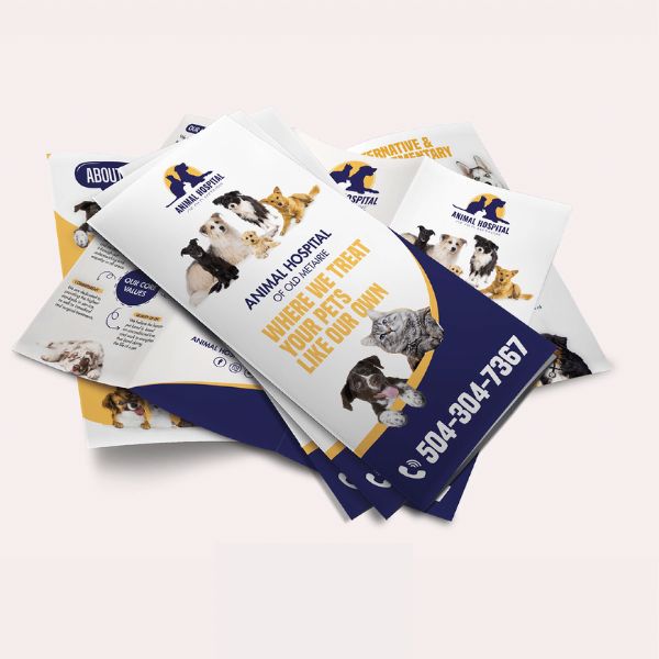 In brochure pet shop giá rẻ, mẫu đẹp tại In Hoa Long