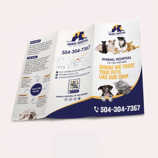 In brochure pet shop giá rẻ, mẫu đẹp tại In Hoa Long