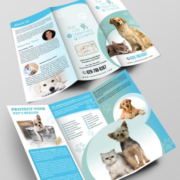 In brochure pet shop giá rẻ, mẫu đẹp tại In Hoa Long