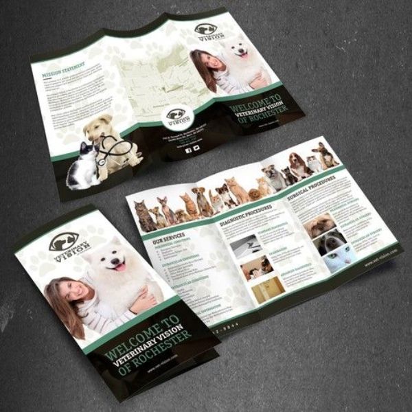 In brochure pet shop giá rẻ, mẫu đẹp tại In Hoa Long