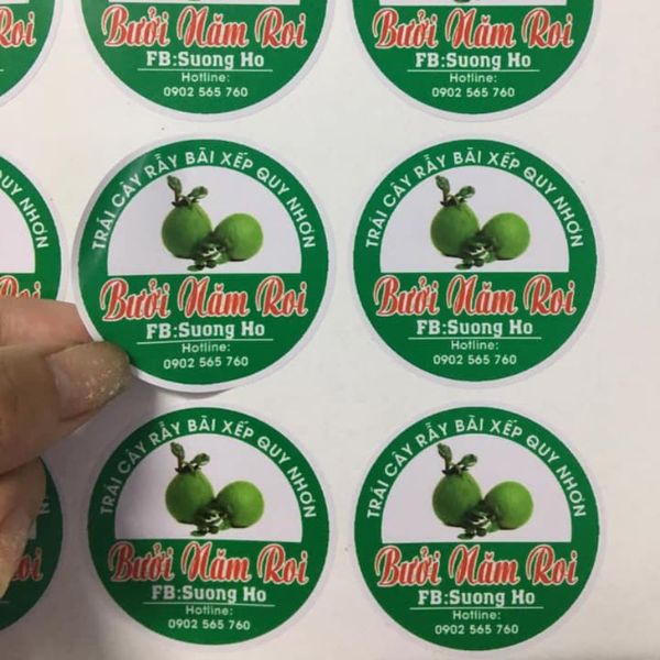 In tem nhãn bưởi giá rẻ, lấy nhanh tại Hà Nội