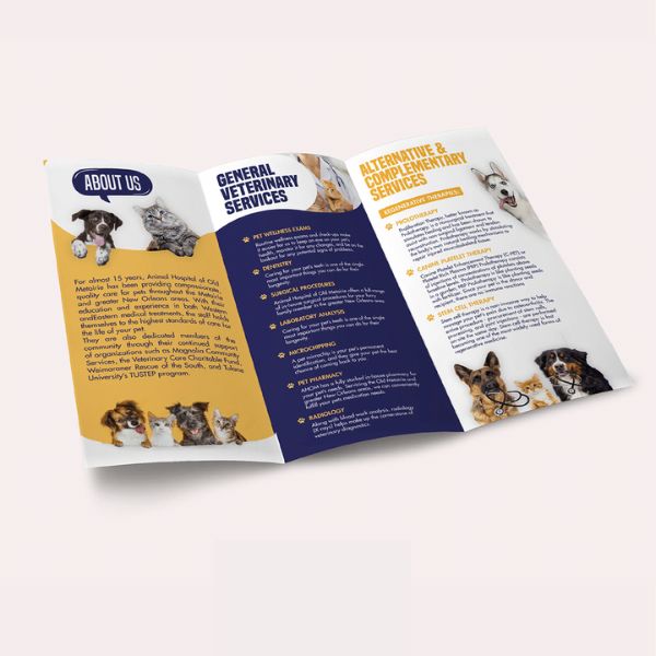 In brochure pet shop giá rẻ, mẫu đẹp tại In Hoa Long