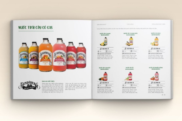 Bí quyết thiết kế bố cục catalogue đẹp mắt