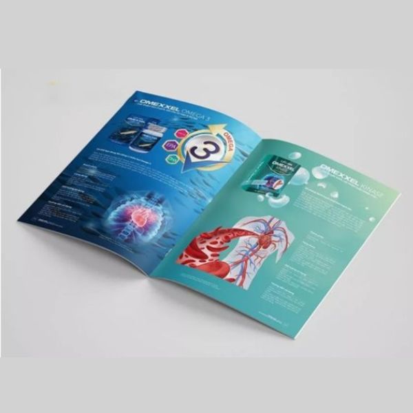 In catalogue dược phẩm giá rẻ, chất lượng cao tại Hà Nội