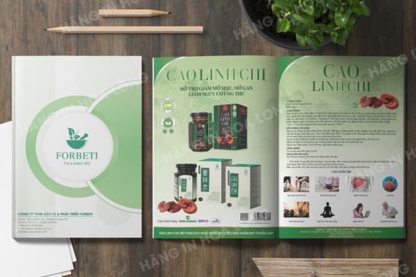 Mẫu catalogue thu hút