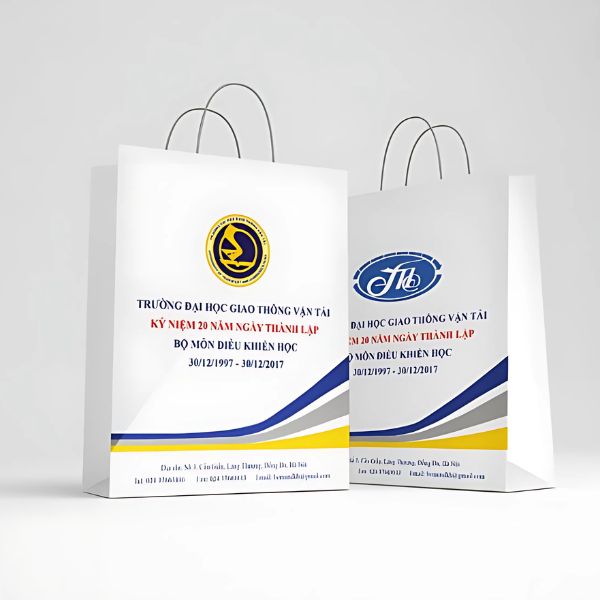 In túi giấy trường học giá rẻ, mẫu đẹp tại Hà Nội