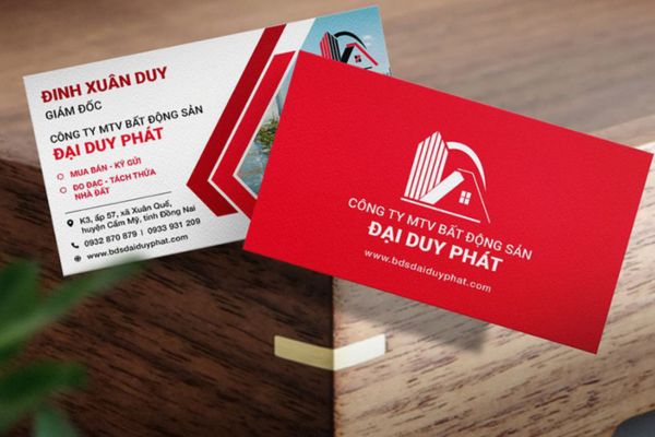 Mẫu card visit bất động sản đẹp, thiết kế theo êu cầu tại Hoa Long