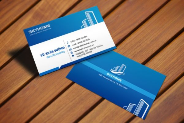 Mẫu card visit bất động sản đẹp, thiết kế theo êu cầu tại Hoa Long