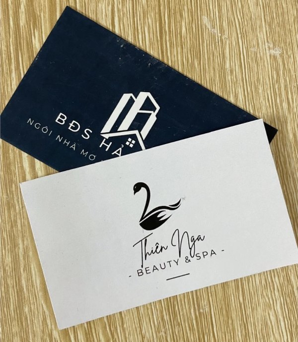 In Hoa Long nhận thiết kế và in ấn mẫu card visit spa giá rẻ