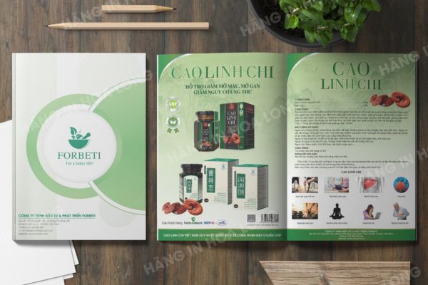 Mẫu catalogue thực phẩm chức năng đẹp, chất lượng cao