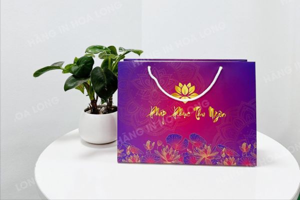 Mẫu túi giấy cứng đẹp, chất lượng tại Hoa Long