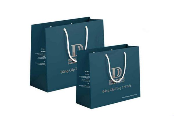 Mẫu túi giấy cứng đẹp, chất lượng tại Hoa Long