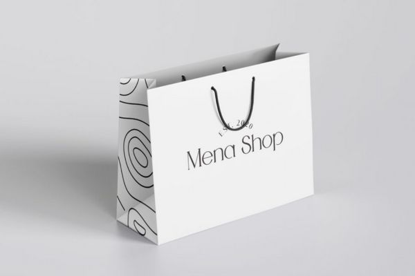 Mẫu túi giấy cứng đẹp, chất lượng tại Hoa Long