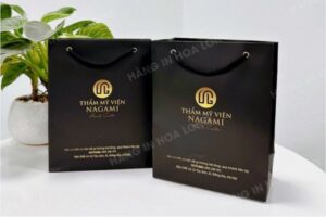Mẫu túi giấy spa, thẩm mỹ viện đẹp tại Hoa Long