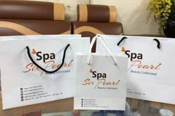 Mẫu túi giấy spa, thẩm mỹ viện đẹp tại Hoa Long