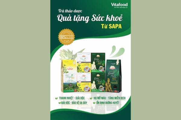 Thiết kế mẫu tờ rơi thuốc chuyên nghiệp hiệu quả