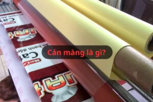 Cán màng là gì? Chi tiết kỹ thuật cán màng trong in ấn