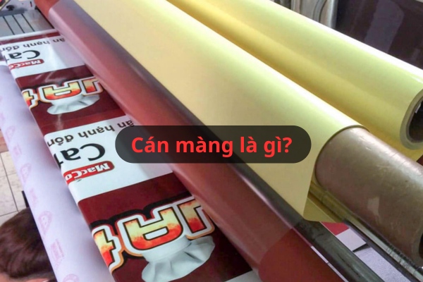 Cán màng là gì? Chi tiết kỹ thuật cán màng trong in ấn