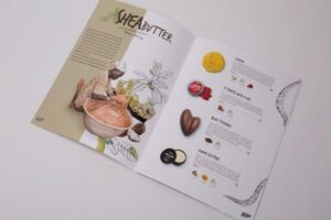 10 Mẫu catalogue mỹ phẩm đẹp nhất