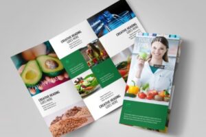 15+ Mẫu brochure trái cây đẹp, tươi mát, ấn tượng
