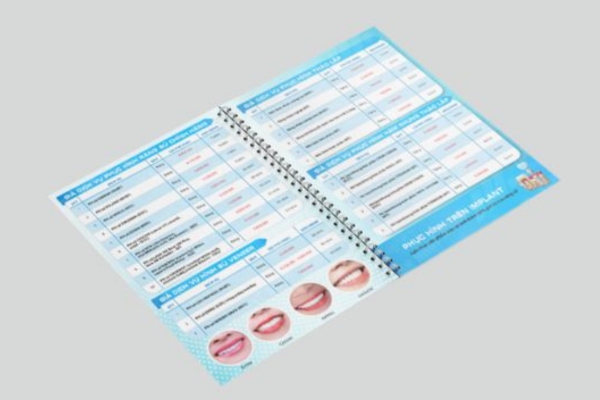 Bố cục thiết kế mẫu menu nha khoa đẹp mắt khoa học